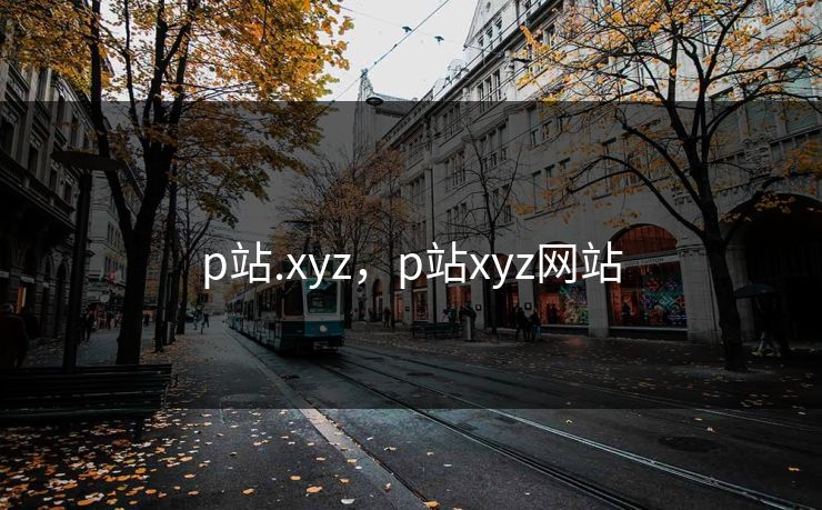 p站.xyz,p站xyz网站